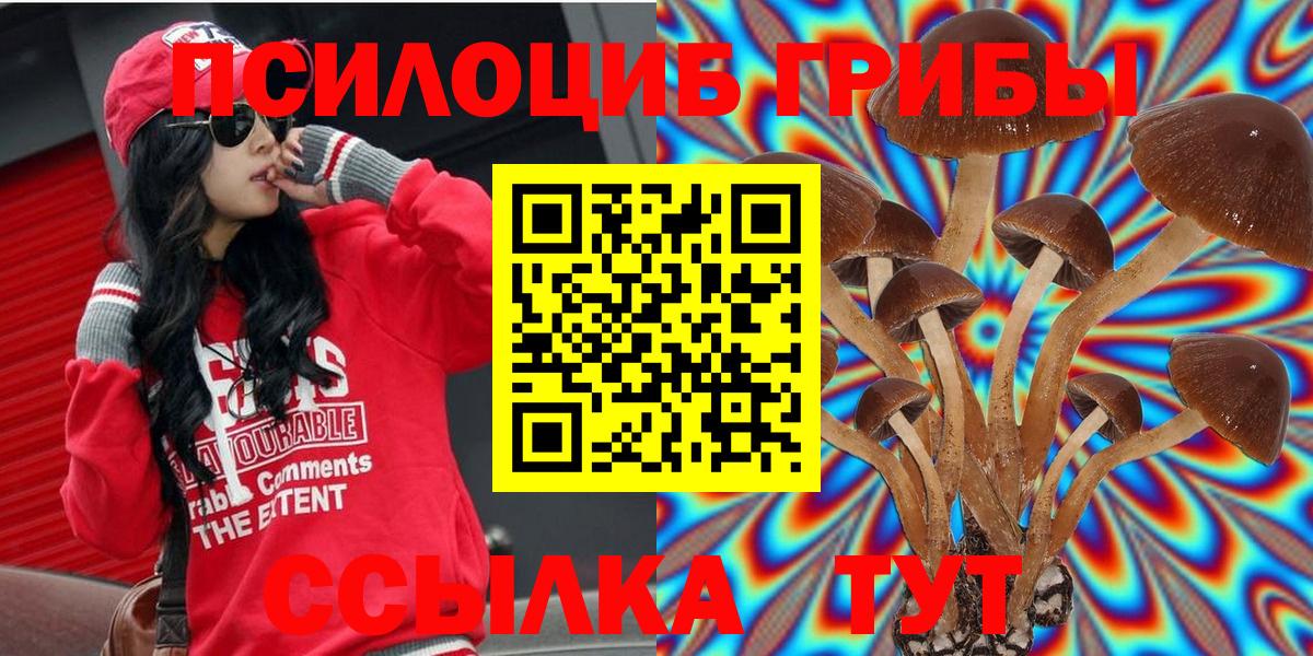 Псилоцибиновые грибы MAGIC MUSHROOMS Дедовск