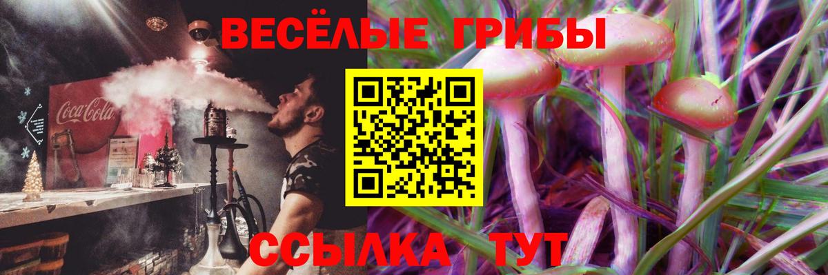Дедовск  Галлюциногенные грибы MAGIC MUSHROOMS  Вход с VPN 